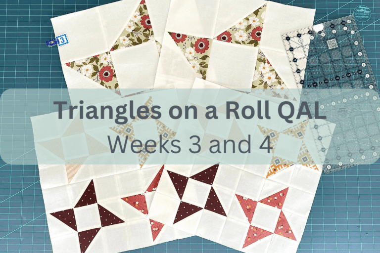Triangles on a Roll Quilt Along – Weeks 3 and 4