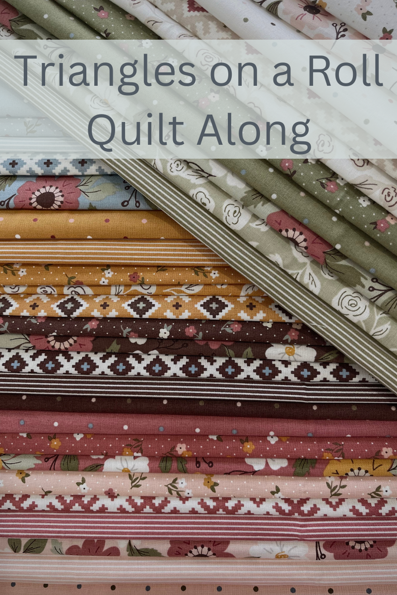 Triangles on a roll quilt along cover image