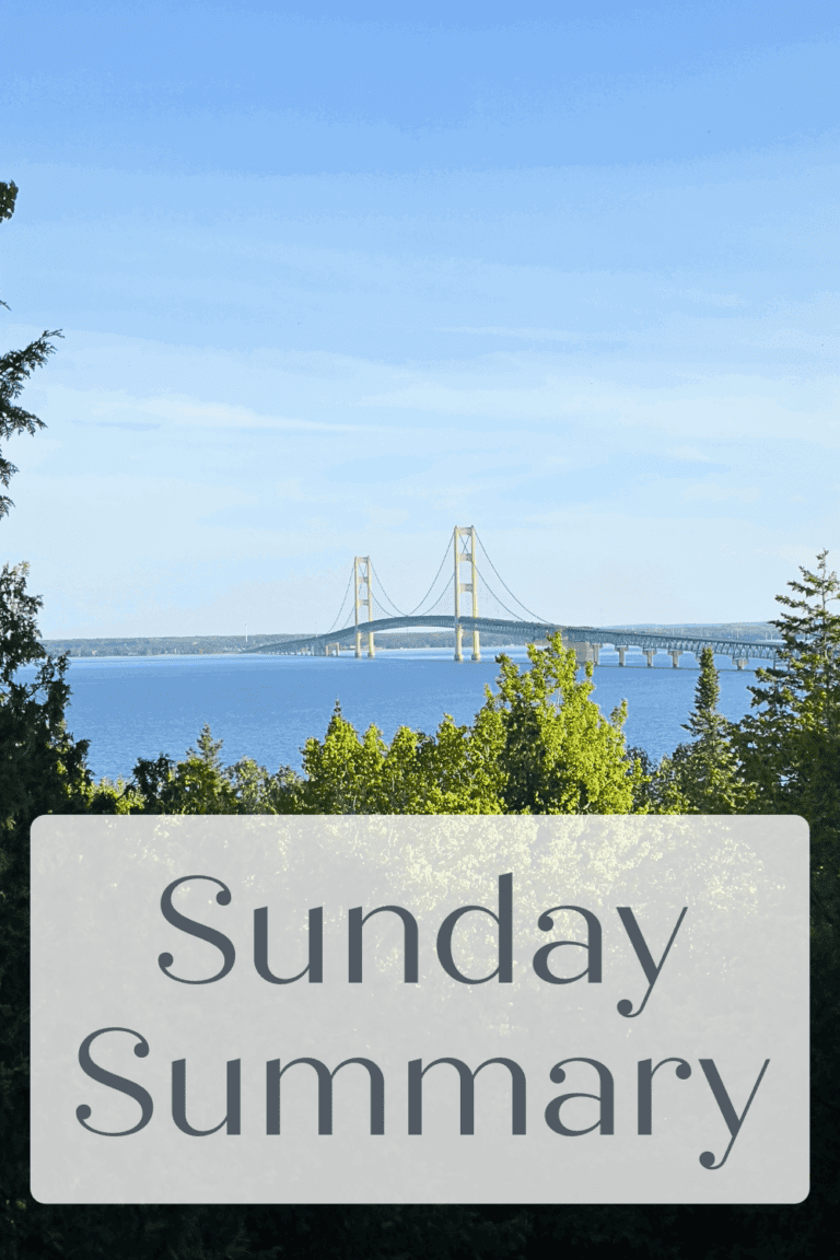 Mackinac Bridge in Michigan