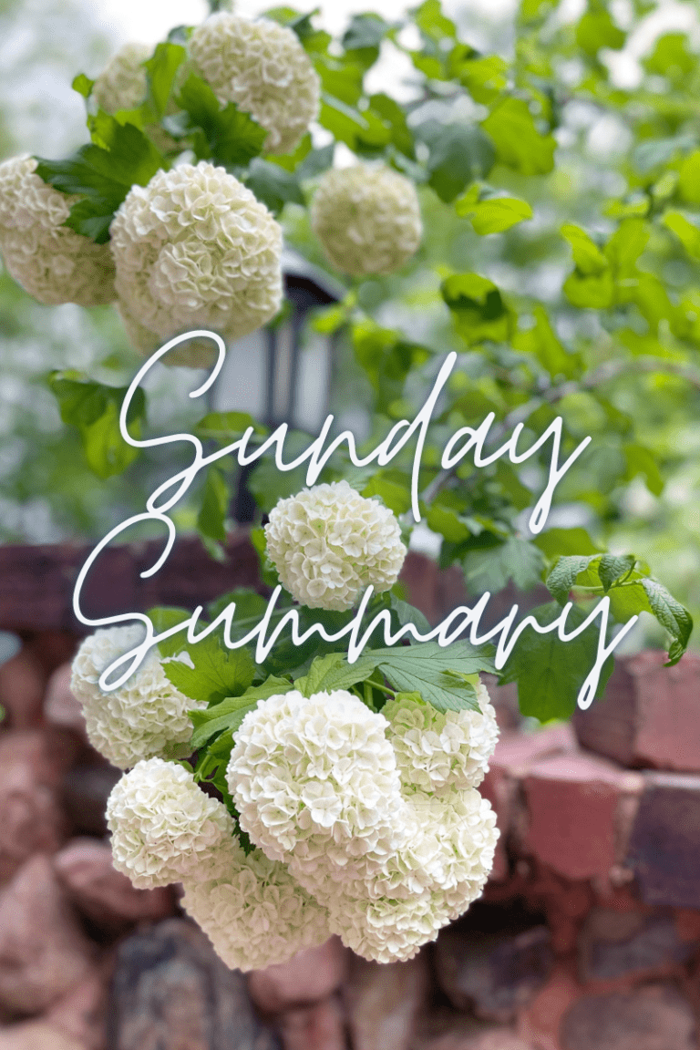 Sunday Summary 3 – Quilting and Cross Stitch Inspiration