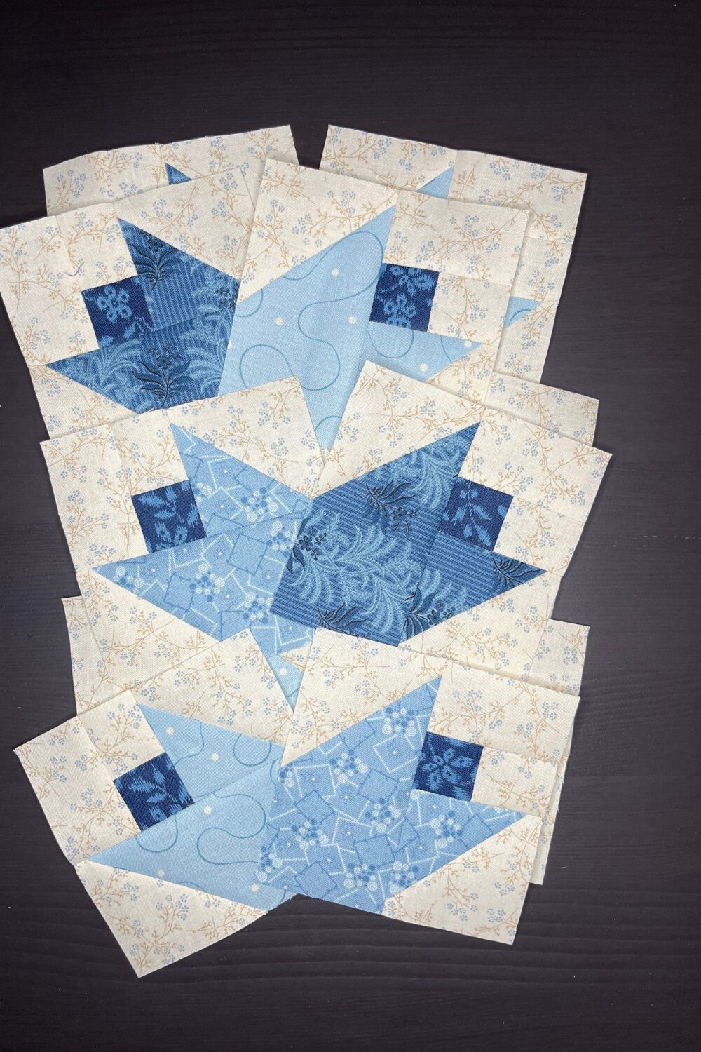 Edyta Sitar of Laundry Basket Quilts Spring Mystery Quilt Along