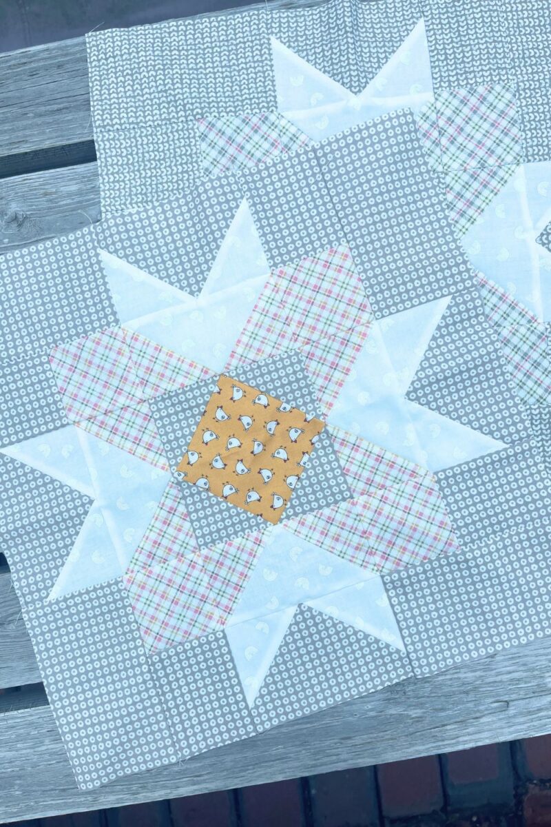 Block 7 of the Barn Star Sampler Quilt Along by Fat Quarter Shop. This shows a 16 inch star quilt block using Sweetwater Fabrics.