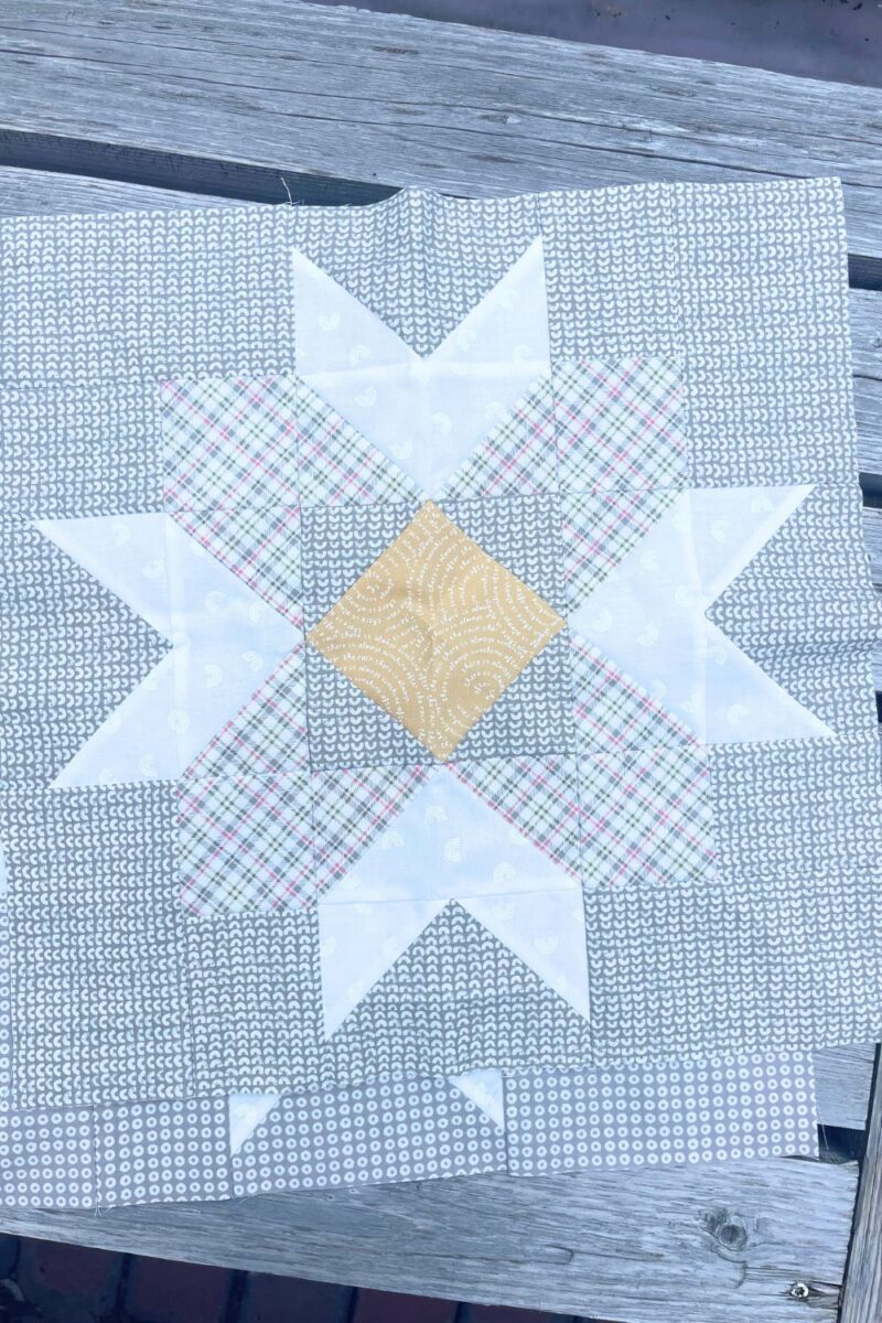 Block 7 of the Barn Star Sampler Quilt Along by Fat Quarter Shop. This shows a 16 inch star quilt block using Sweetwater Fabrics.