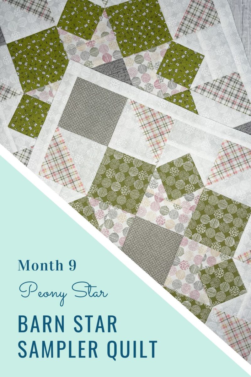 Peony Star quilt block from the Barn Star Sampler quilt along month 9. There are modified four patch corners and square in a square blocks to make up the larger block. Made with Spring Chicken and Renew fabric collections by Sweetwater