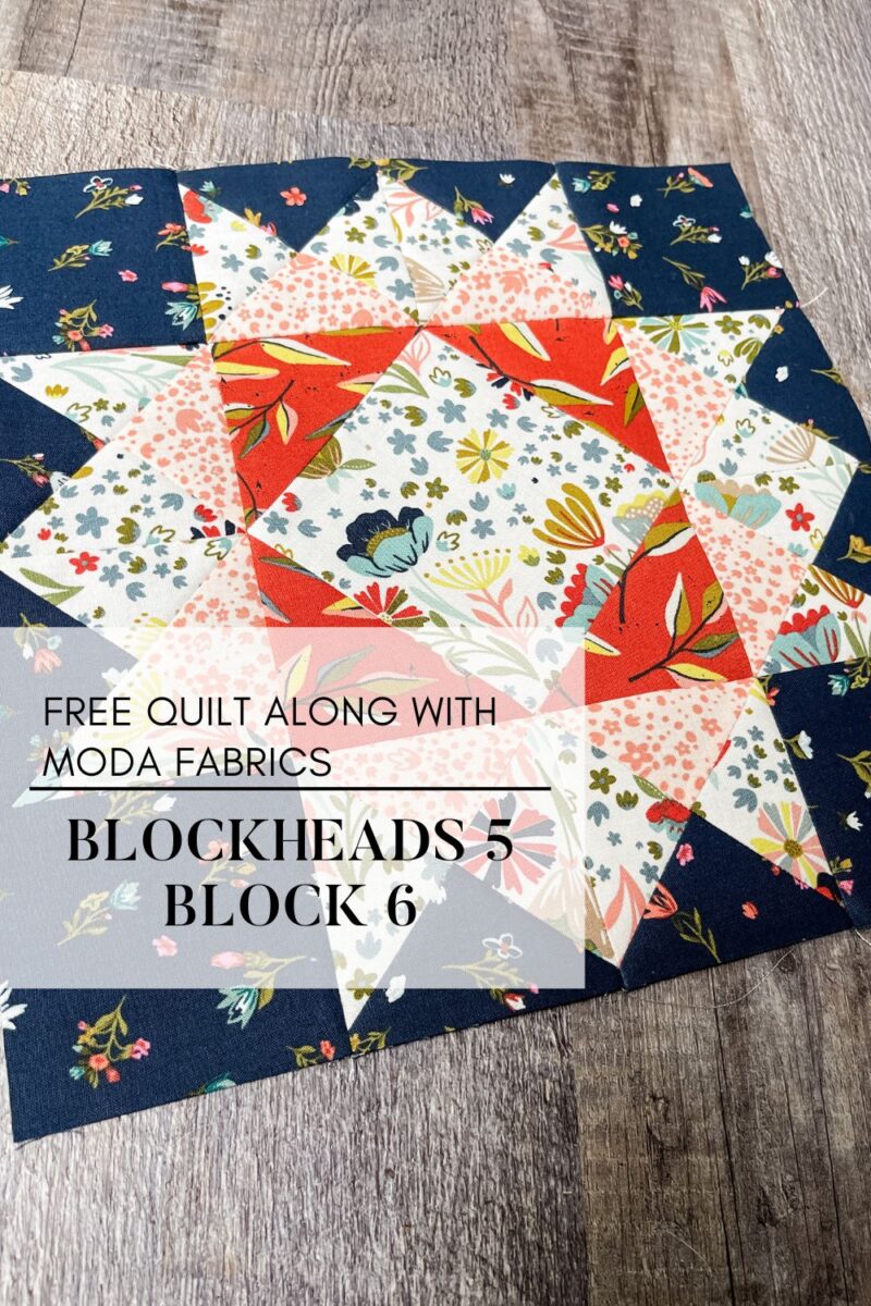 Blockheads 5 Block 6 cover image of the Celeste block designed by Laurie Simpson of Minick and Simpson