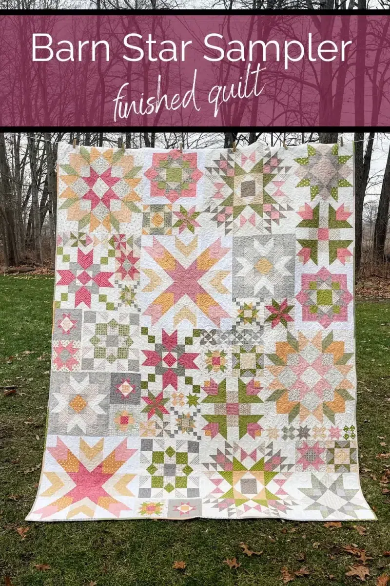 Barn Star Sampler finished quilt. Shows full quilt outside hanging.