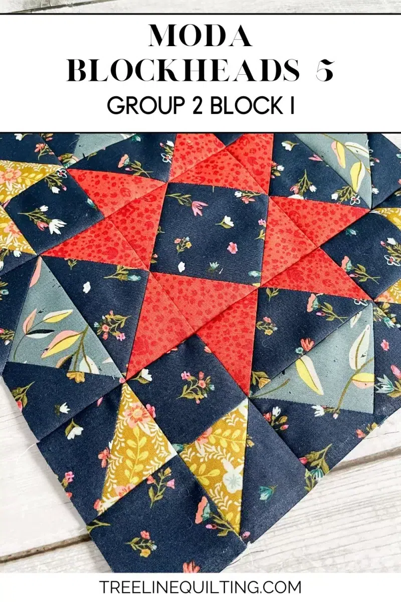 Moda Blockheads 5 group 2 block 1. The Dream Big star block made with Fancy That Design House's fabric collection Songbook.