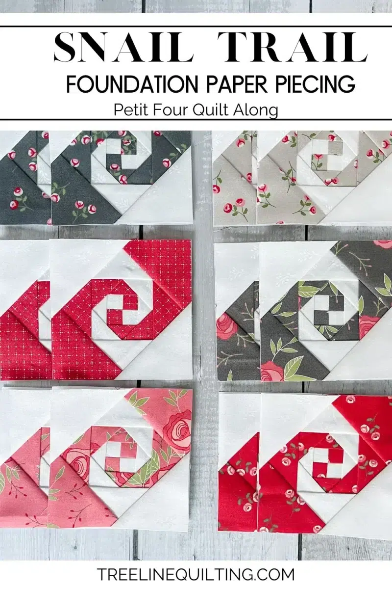 Snail Trail cover image of the 12 quilt blocks made with foundation papers in the 4 inch size.