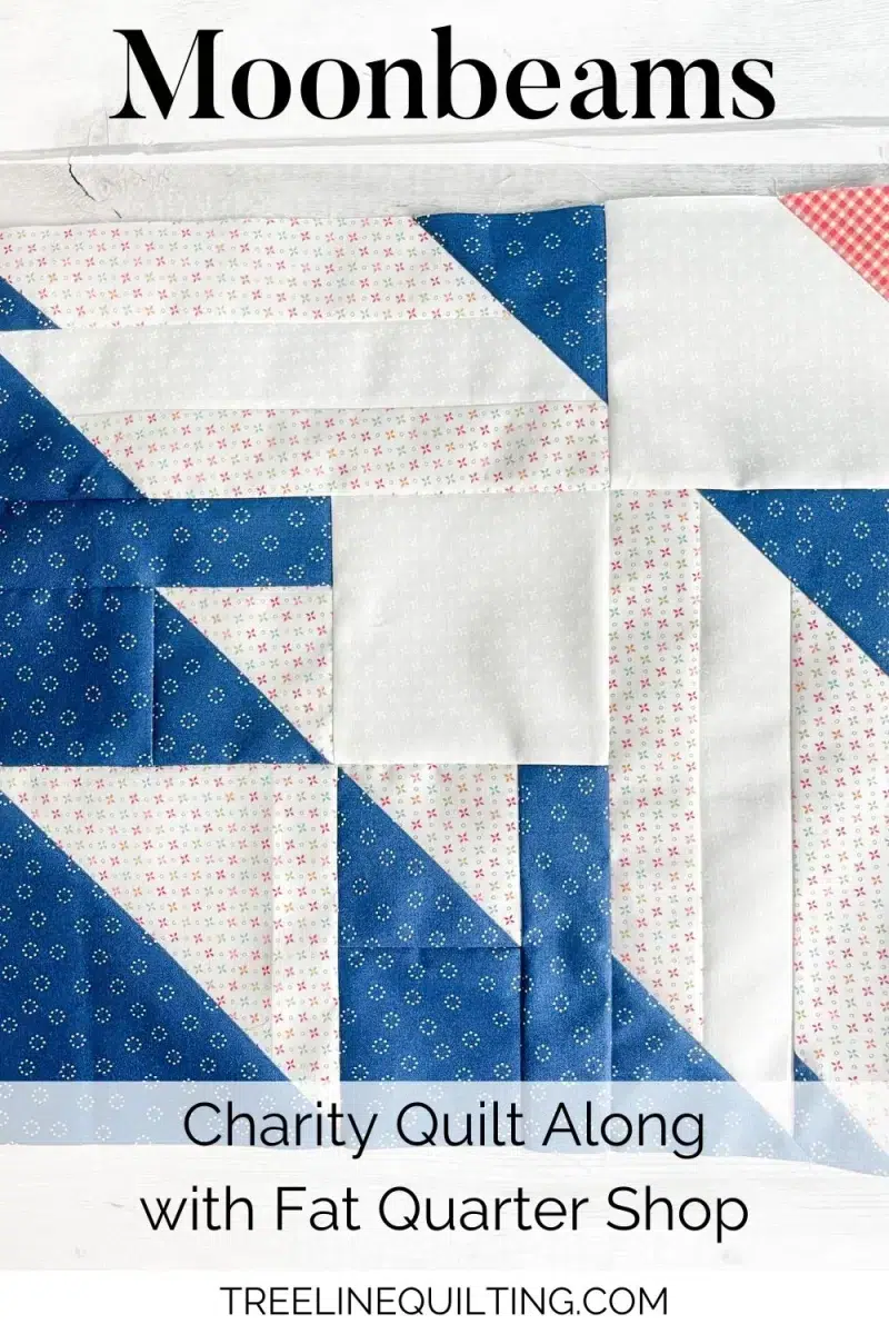 Moonbeams charity quilt along cover image with one dove block for month 1