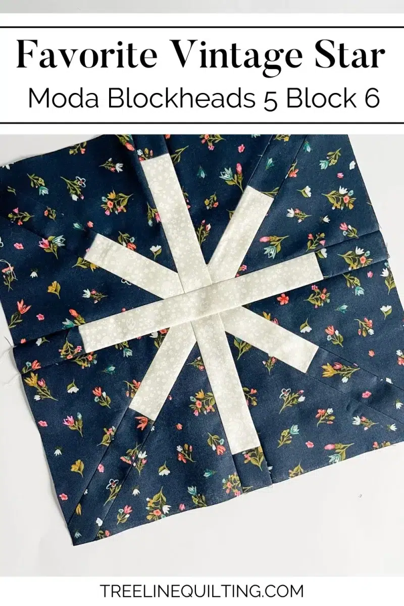 Favorite vintage star quilt block in navy floral and white fabrics cover image