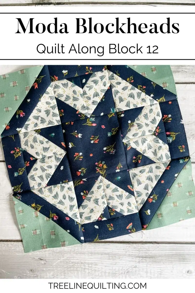 Blockheads 5 block 12 cover image with the Starling quilt block