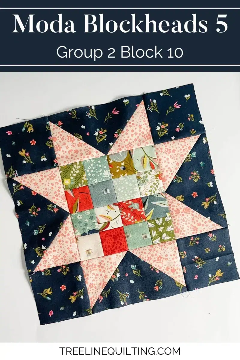 Moda Blockheads 5 Group 2 Block 10 cover image of a 16 patch star block designed by Alexia Abel
