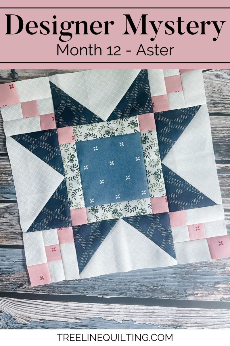 Designer Mystery Month 12 - Aster Block cover image