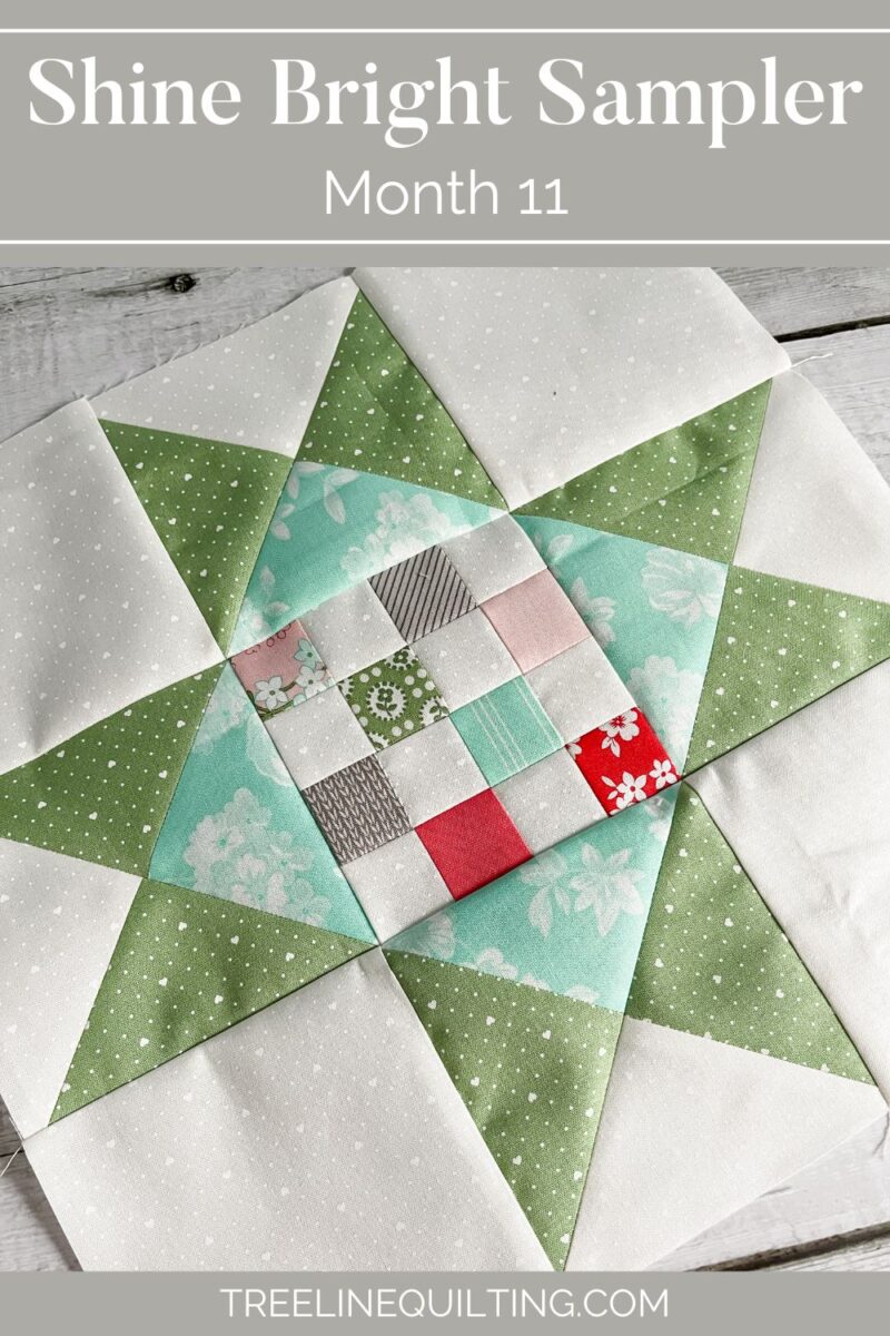 Shine Bright Sampler month 11 cover image with the Summer Quilt Block