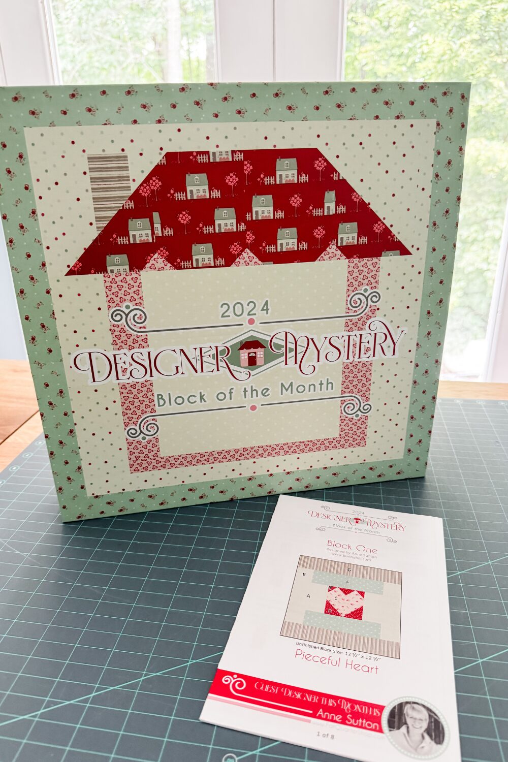Project box for the finishing kit for Designer Mystery Block of the month and Block 1 pattern.