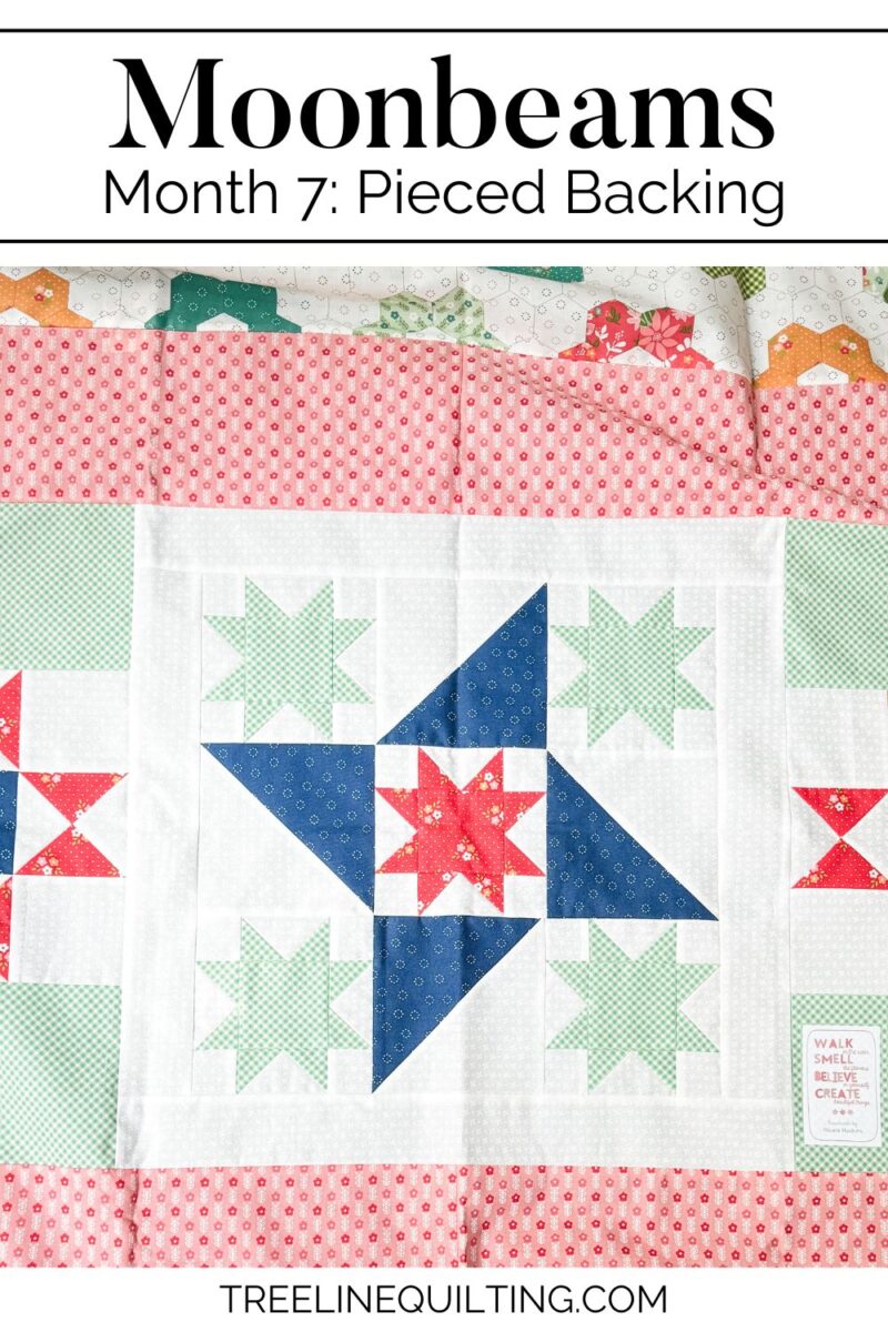 Moonbeams month 7 cover image of a star quilt block from the back of the quilt.