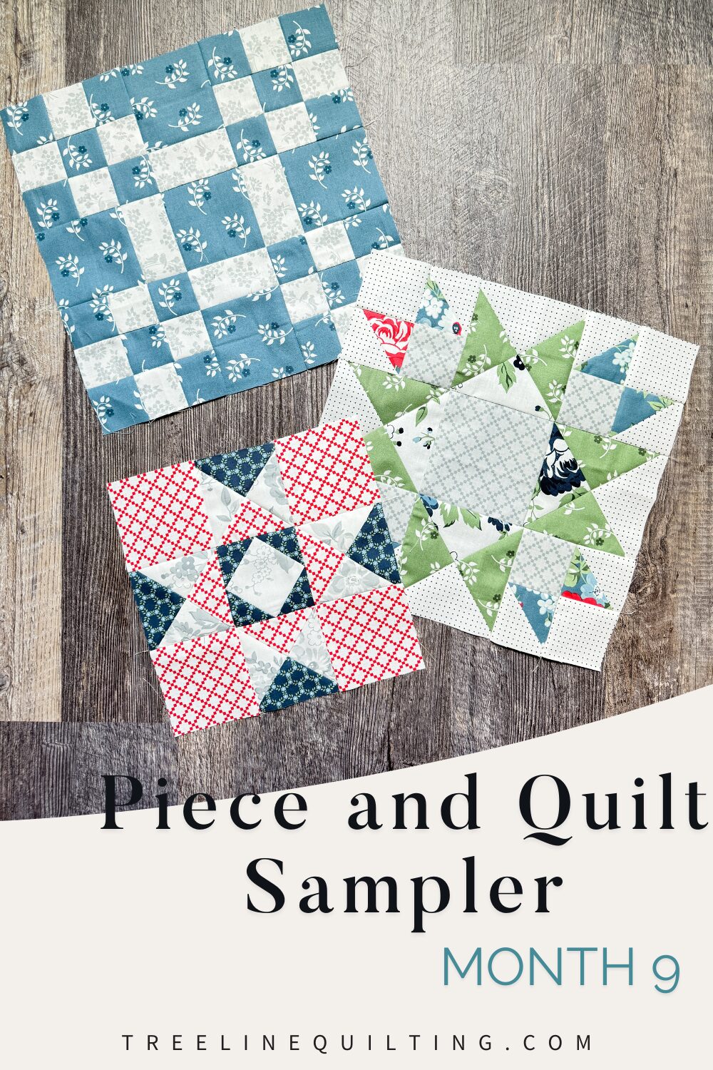 Cover image for Piece and Quilt Sampler Month 9 with completed blocks and title text.