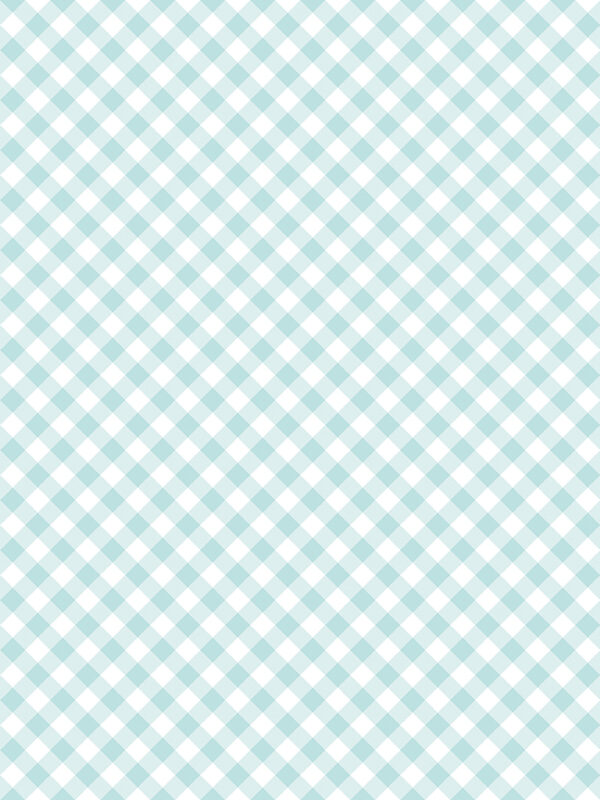 Whimsical Woodland Diagonal Gingham Aqua fabric by Tasha Noel for Riley Blake Designs