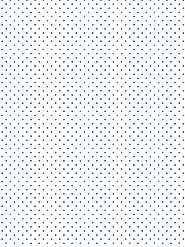 Swiss Dot On White Color Denim