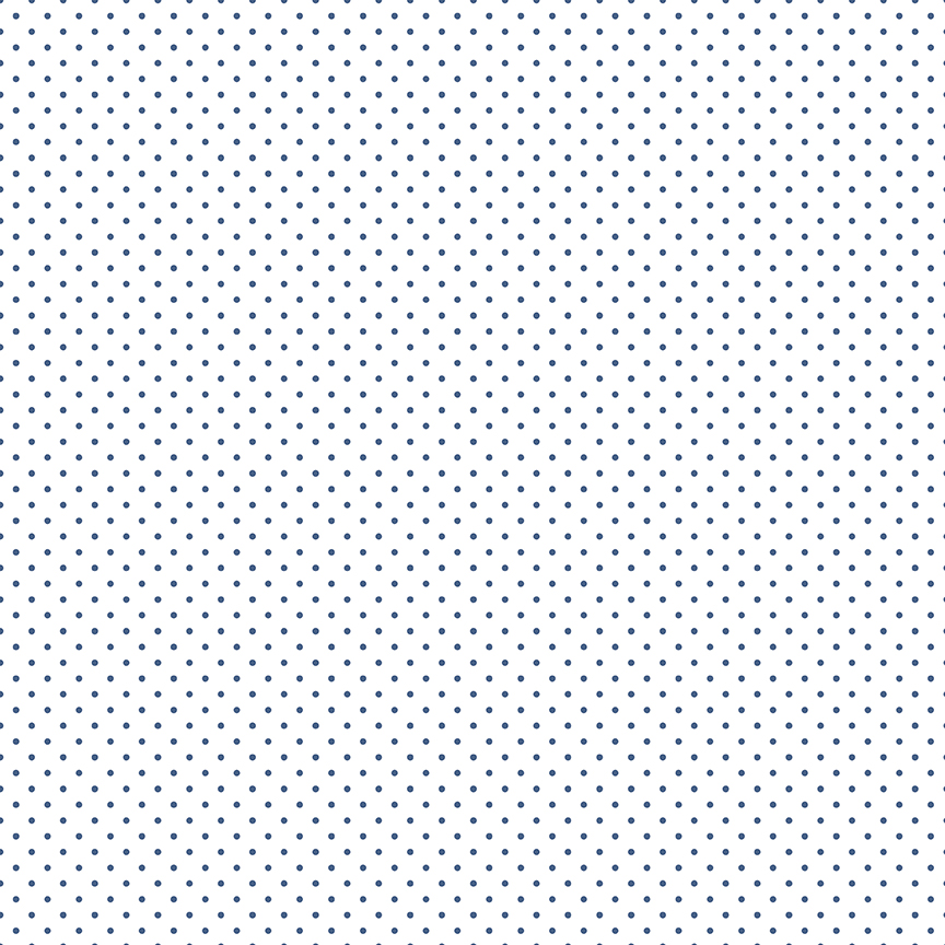 Swiss Dot On White Color Denim