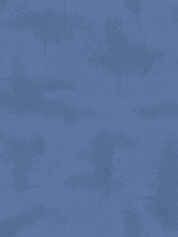 Shabby In Color Denim