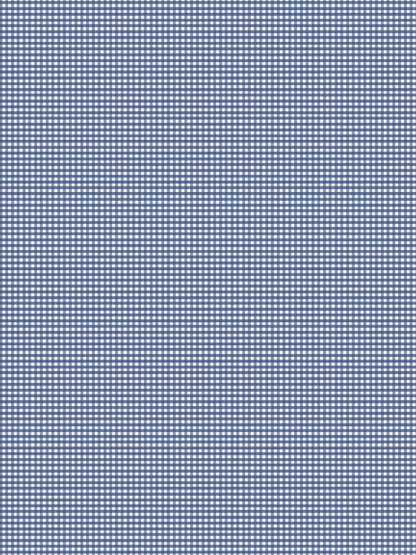 Micro Gingham Denim