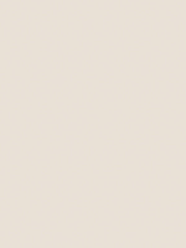 Confetti Cottons Solid Ivory