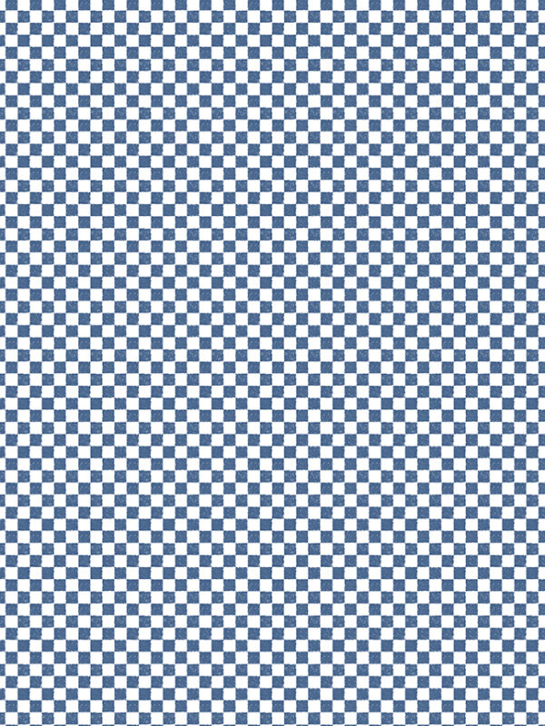 Check Please! 1/4" Check Denim