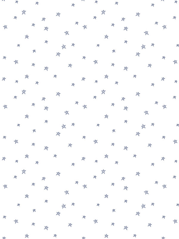 Bee Plaids Star Denim