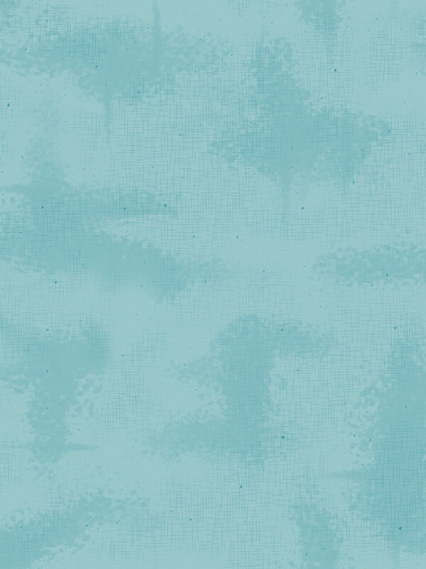 Shabby Riley Aqua