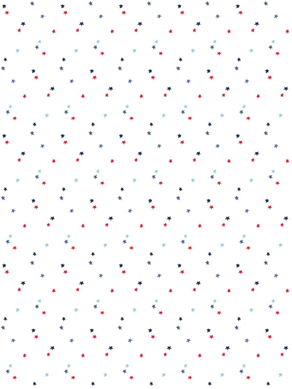 Seasonal Basics Stars White