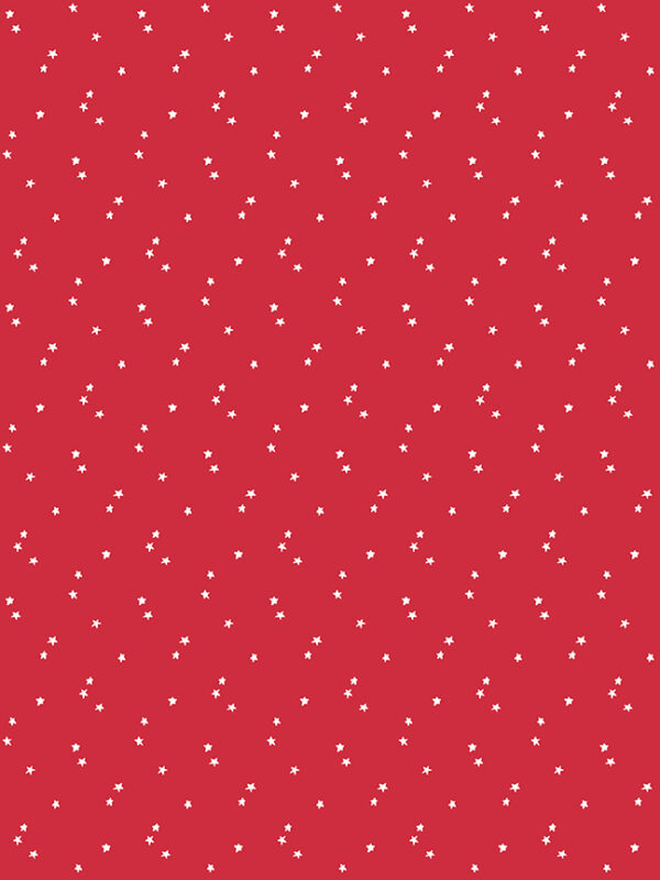 Seasonal Basics Stars Red