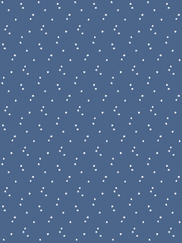 Seasonal Basics Stars Blue