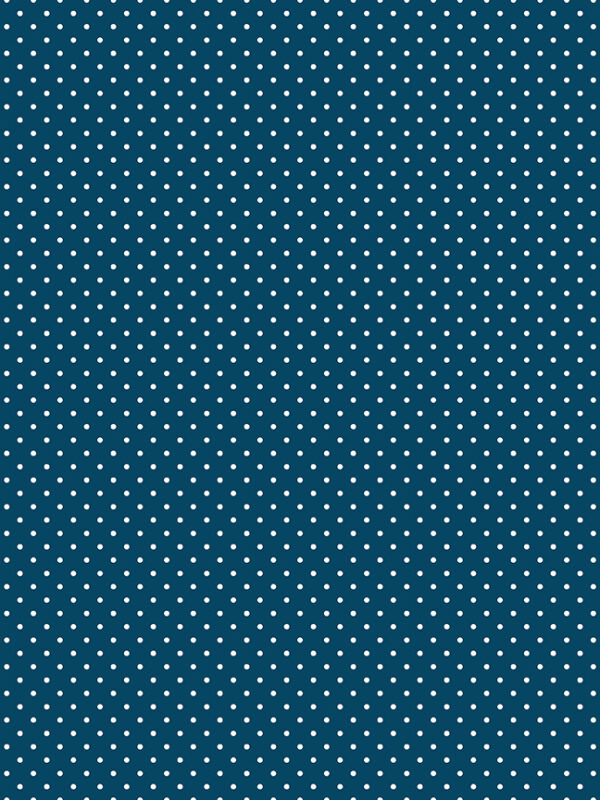 Swiss Dot Oxford Blue