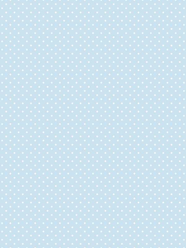 Swiss Dot Boy Blue