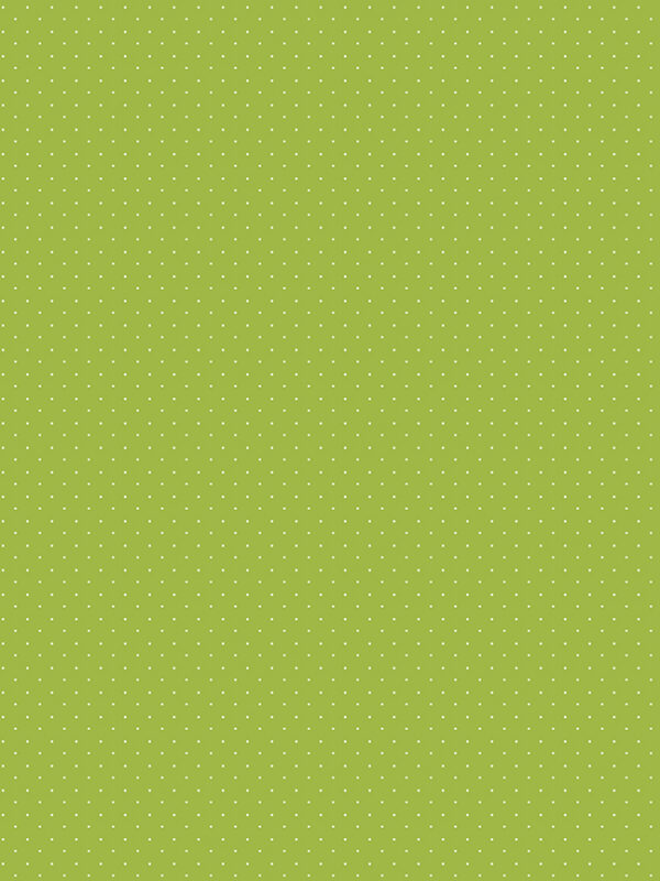 American Jane Pindots Lime