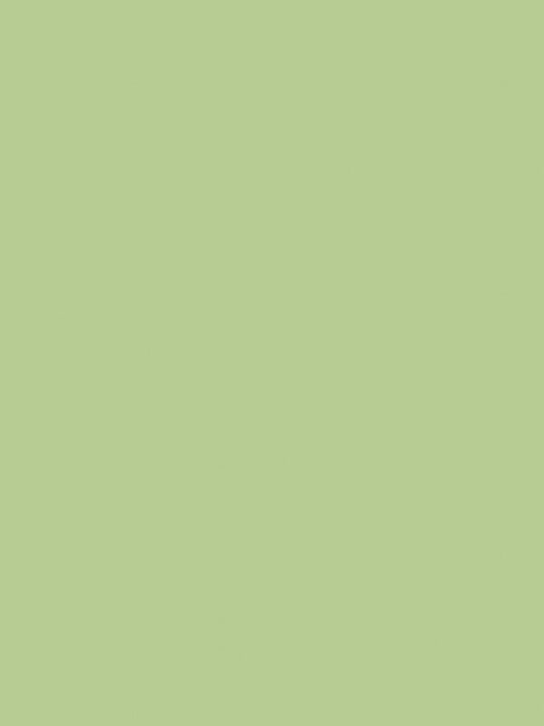 Confetti Cotton Honeydew