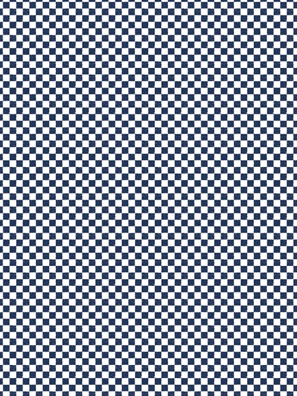 Check Please! 1/4" Check Navy