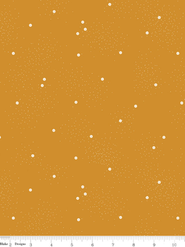 Dainty Daisy Butterscotch