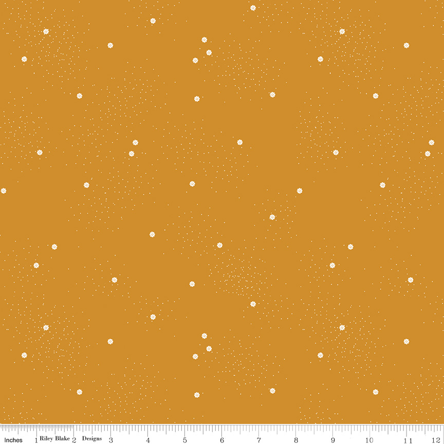 Dainty Daisy Butterscotch