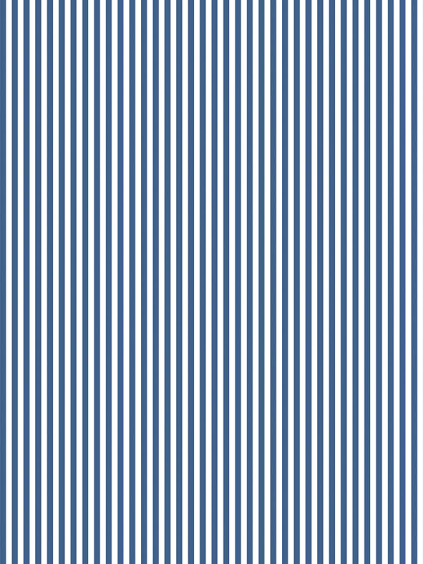 1/8" Stripe Denim