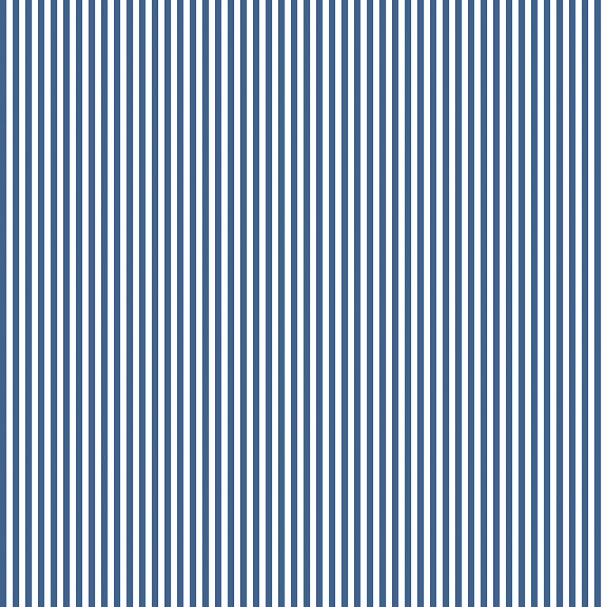 1/8" Stripe Denim