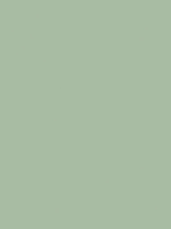Confetti Cotton Sage