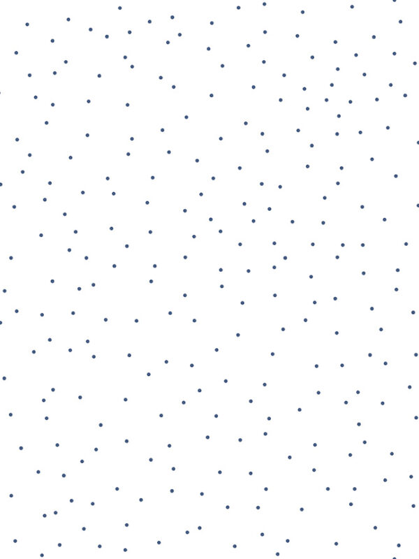 Pin Dot Denim