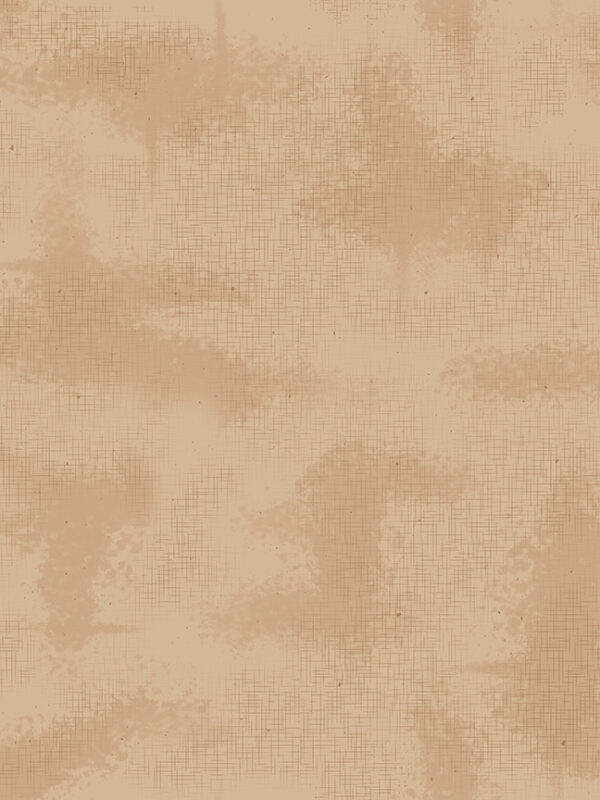 Shabby Allspice