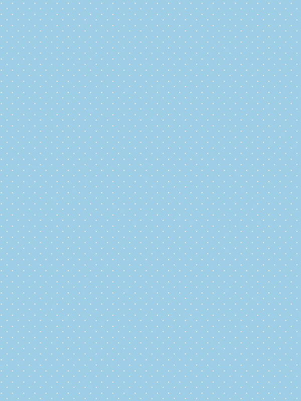 American Jane Pindots Sky