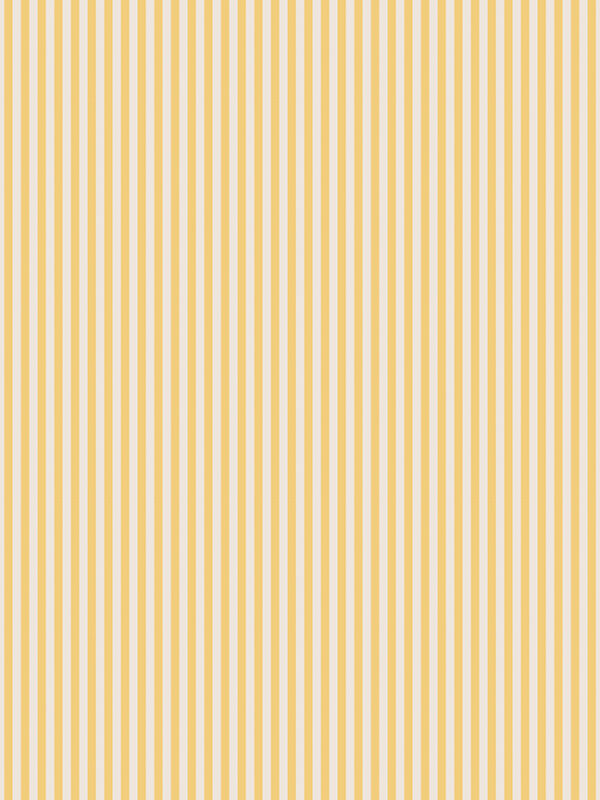 1/8" Stripe on Ivory Honey