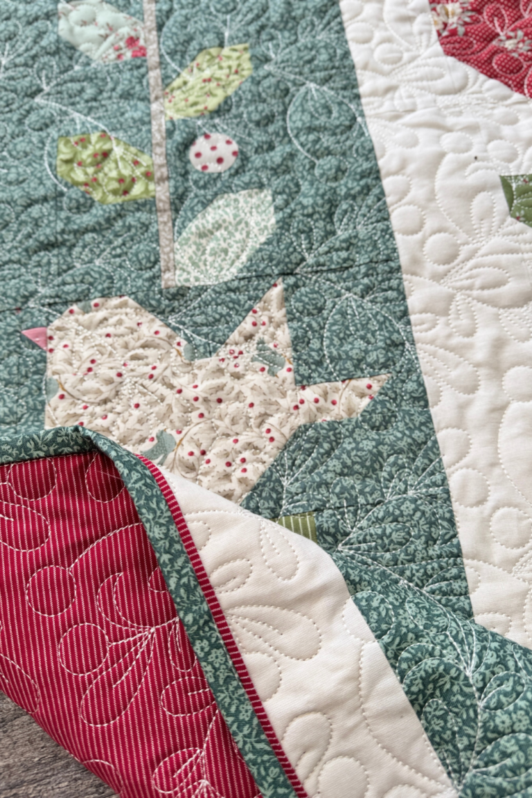 Close-up of the finished quilt edge showing smooth, even flanged binding with a narrow accent strip.