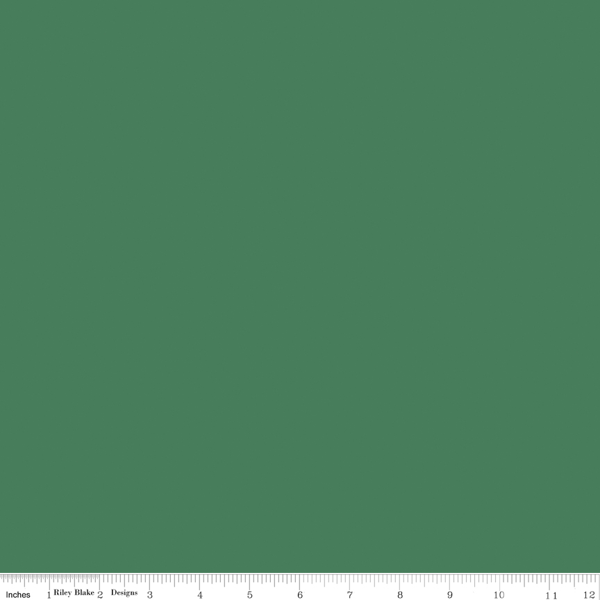 Confetti Cotton Cactus fabric by Riley Blake Designs green solid quilting fabric