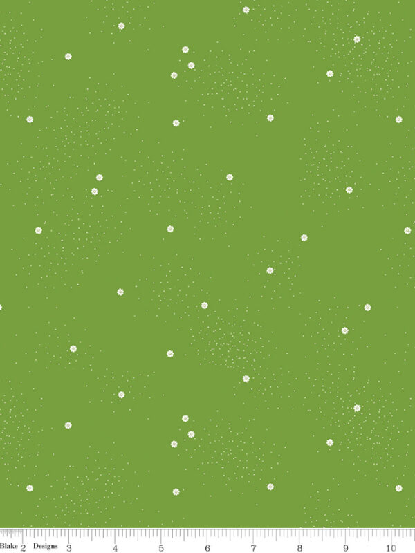 Dainty Daisy Holly